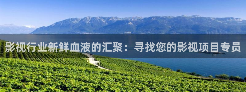 人人成人影院：影视行业新鲜血液的汇聚：寻找您的影视项目专员
