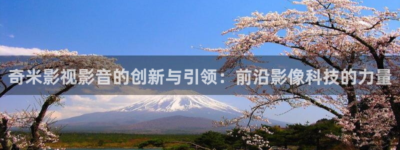 人人爽爽人人爽人人片av：奇米影视影音的创新与引领：前沿影像科技的力量