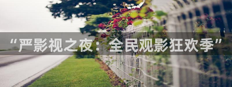 超碰在线人人干：“严影视之夜：全民观影狂欢季”