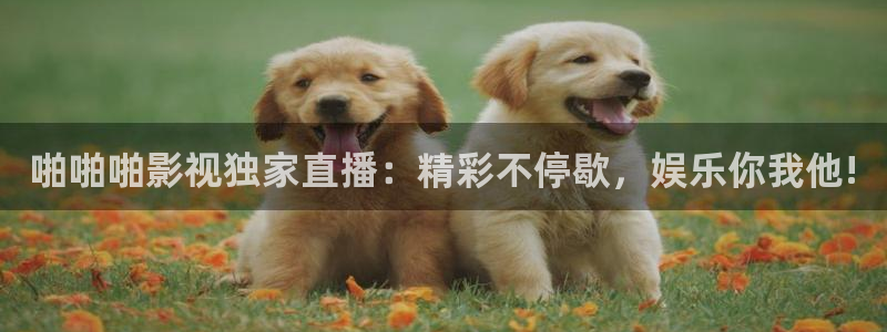 人人干人人插在线视频：啪啪啪影视独家直播：精彩不停歇，娱乐你我他!