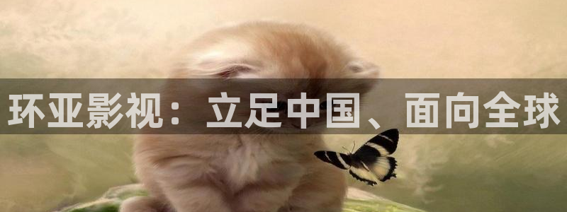 超碰人人人爱：环亚影视：立足中国、面向全球