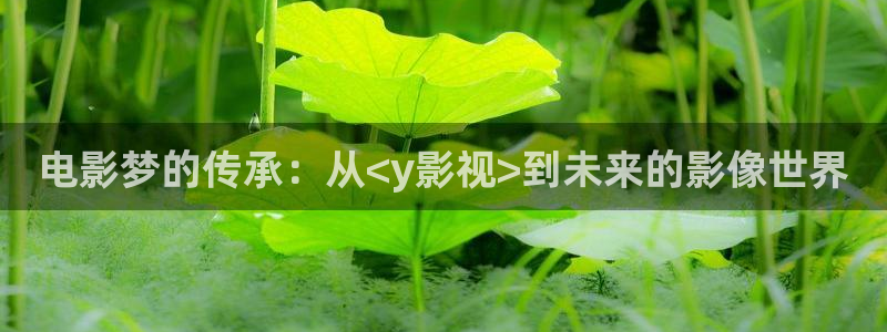 97视频人人干：电影梦的传承：从<y影视>到未来的影像世界